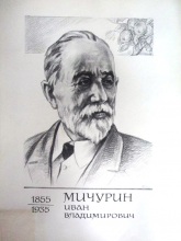 Мичурин Иван Владимирович 2